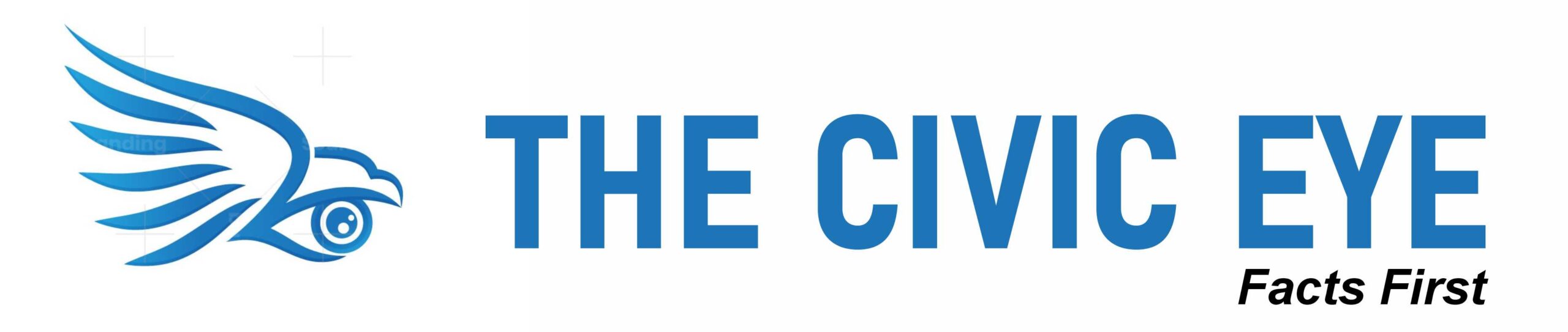 The Civic Eye